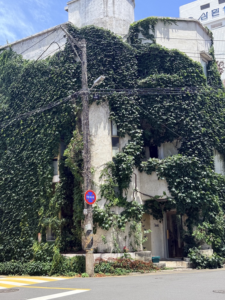 카페 보테